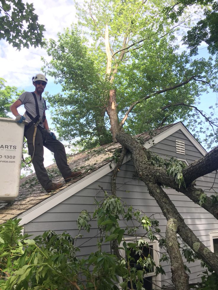 Storm and hail damage inspection by Cover All Roofing & Restoration